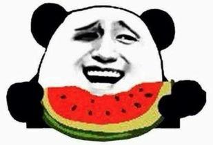 吃瓜群众放过娱乐圈,吃瓜群众呼吁放过，还明星们一片宁静天空